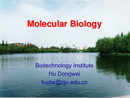 分子生物学--DNA的复制课件