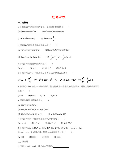 2017年中考数学专题练习 分解因式(无答案)