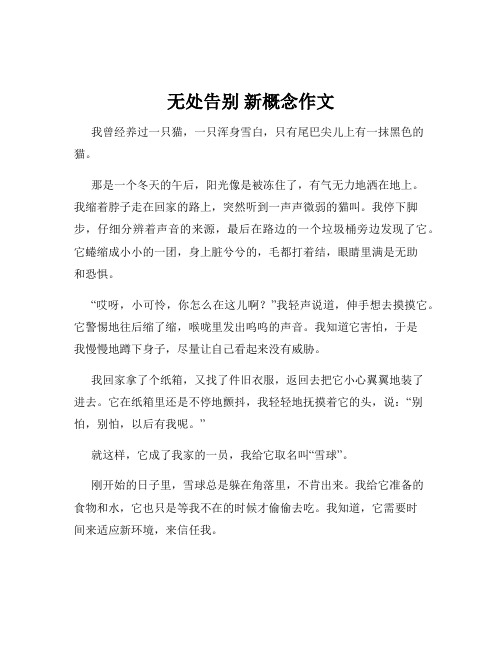 无处告别 新概念作文