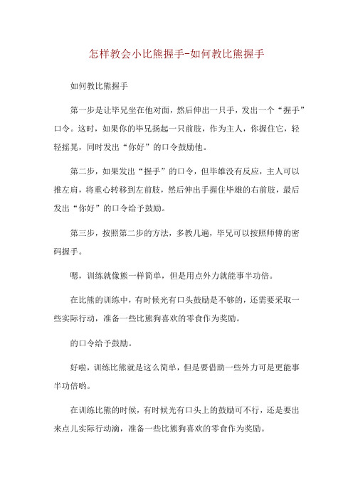 怎样教会小比熊握手-如何教比熊握手