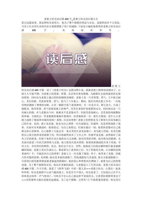 老鹿王哈克读后感400字_老鹿王哈克读后感大全_1