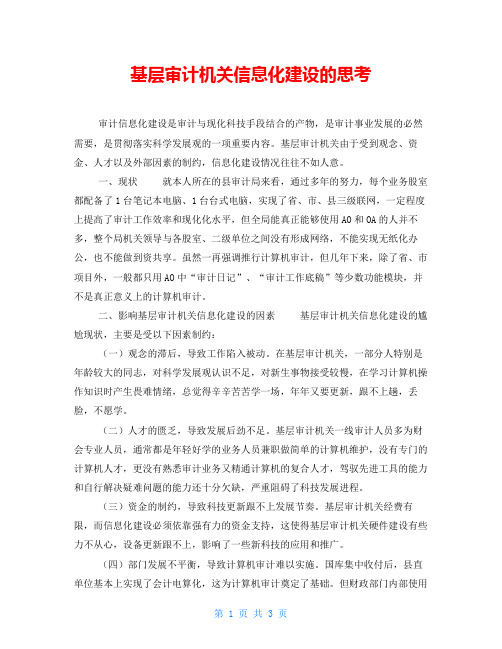 基层审计机关信息化建设的思考