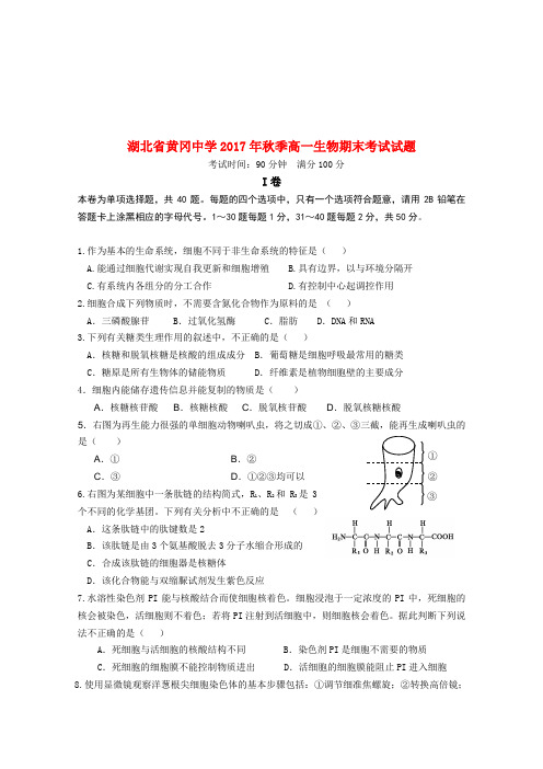 湖北省黄冈中学2017-2018学年高一生物上学期期末考试