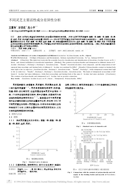 不同灵芝主要活性成分差异性分析