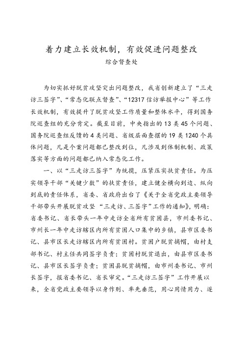 健全长效机制促进问题整改(典型经验材料)