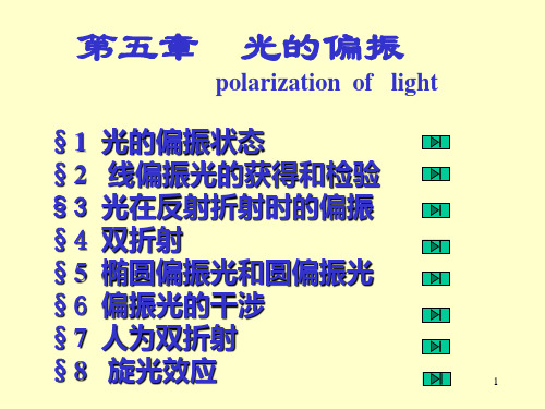 光的偏振