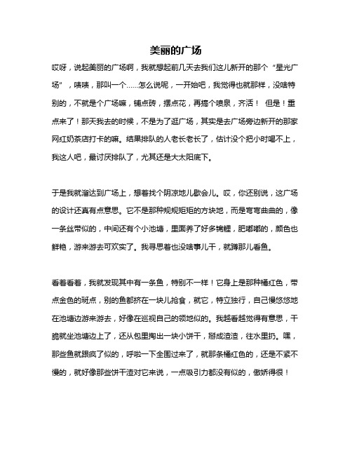 作文《美丽的广场》