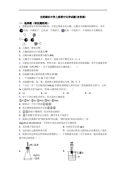 合肥琥珀中学上册期中初三化学试题(含答案)