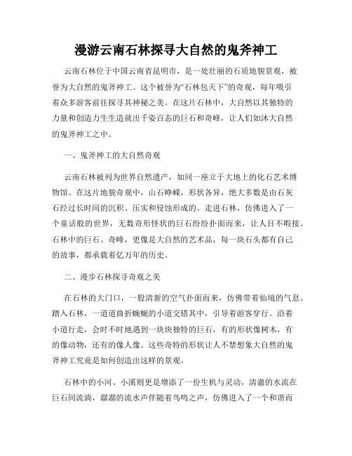 漫游云南石林探寻大自然的鬼斧神工