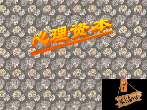教师心理资本与应用