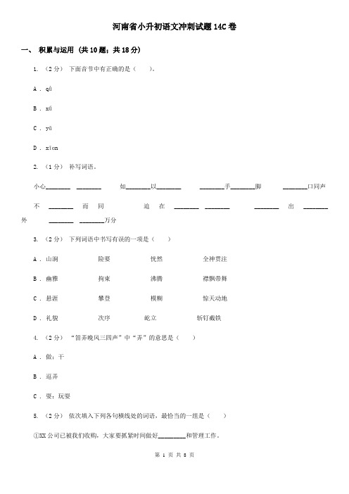 河南省小升初语文冲刺试题14C卷