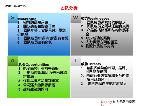 SWOT分析团队.