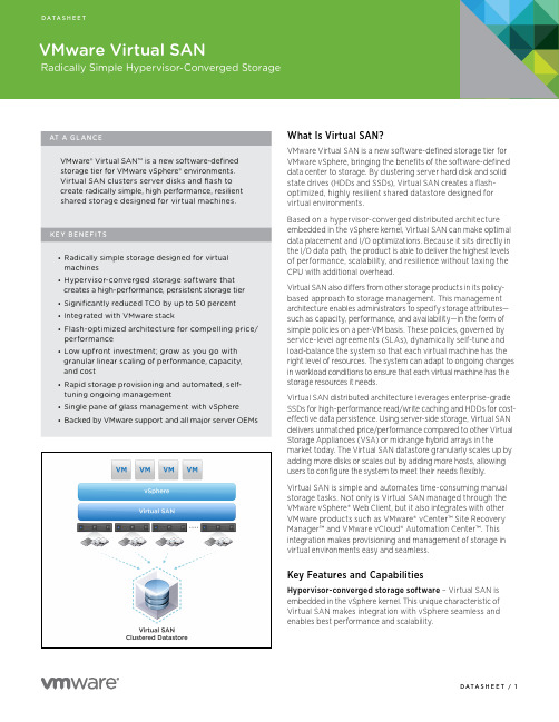 VMware Virtual SAN 产品介绍说明书