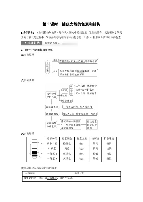 2023年高考生物一轮复习(新人教新高考) 第3单元 第5课时 捕获光能的色素和结构