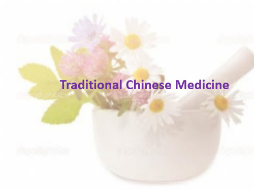 Traditional-Chinese-MedicinePPT课件