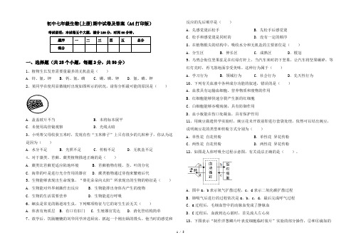 初中七年级生物(上册)期中试卷及答案(A4打印版)