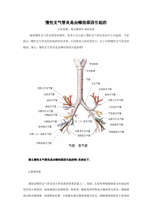 慢性支气管炎是由哪些原因引起的