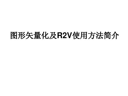 R2V使用方法简介