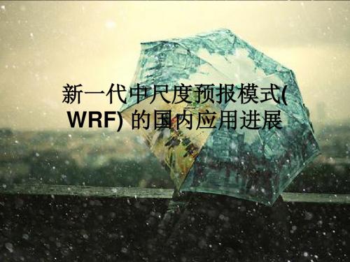 新一代中尺度预报模式(-WRF)的国内应用进展