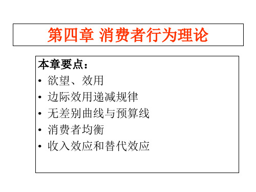 微观经济学类消费者均衡分析