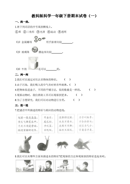 2023教科版科学一年级下册期末试卷含部分答案(五套)