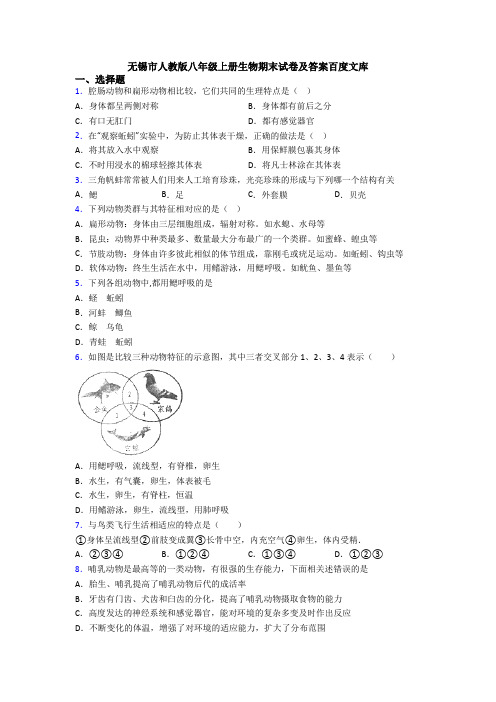 无锡市人教版八年级上册生物期末试卷及答案百度文库