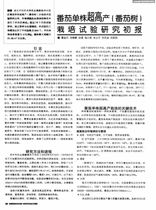 番茄单株超高产(番茄树)栽培试验研究初报