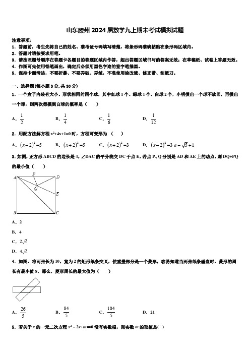 山东滕州2024届数学九上期末考试模拟试题含解析