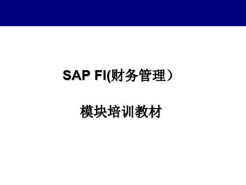 SAP_FI初级培训教材