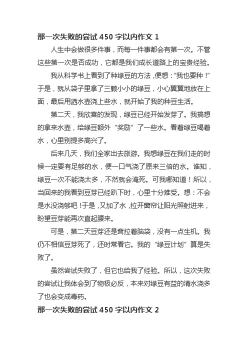 那一次失败的尝试450字以内作文