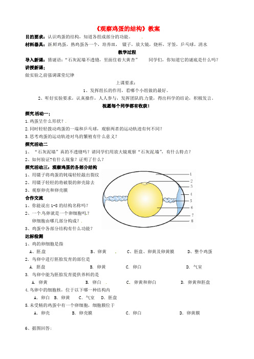 七年级生物上册《观察鸡蛋的结构》教案 新人教版