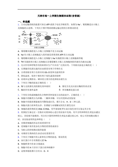 天津市高一上学期生物期末试卷(含答案)