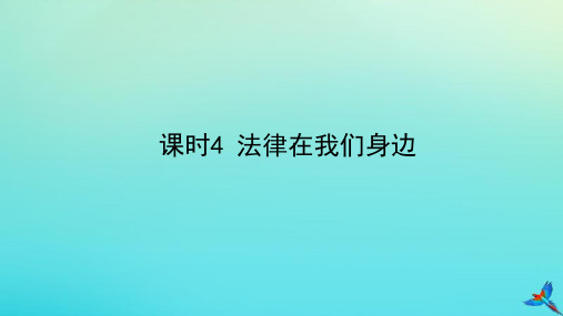 2020版中考道德与法治第一部分教材知识梳理领域一成长中的我主题二心中有法课时4法律在我们身边教学课件