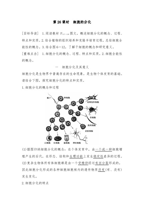 [精品]新人教版必修一高中生物提升习题6.2细胞的分化及答案