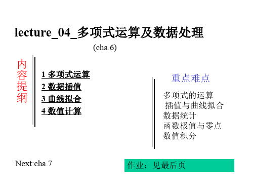 lecture_04_多项式运算及数据处理