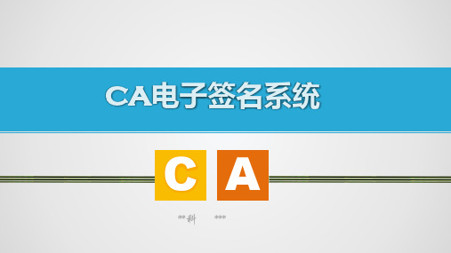 CA电子签名的应用