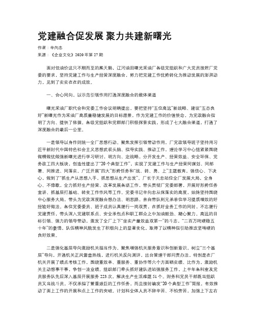 党建融合促发展 聚力共建新曙光