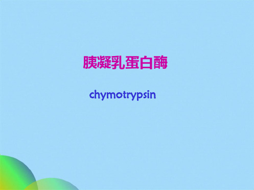 胰凝乳蛋白酶ppt(共17张PPT)