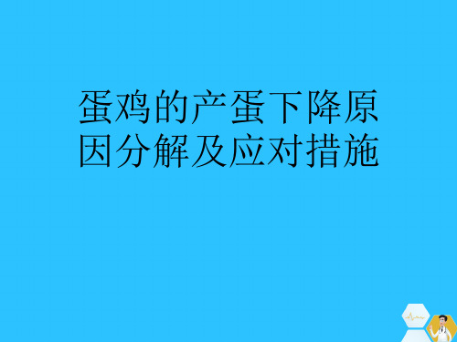 蛋鸡的产蛋下降原因分解及应对措施常用文档