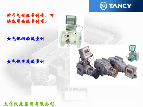 天信流量计的选型