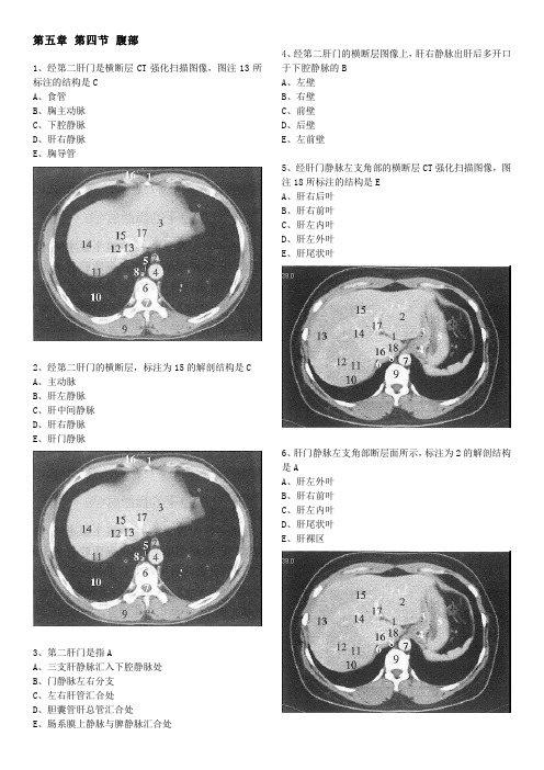 放射技师职称考试第五章人体影像解剖部分真题及答案