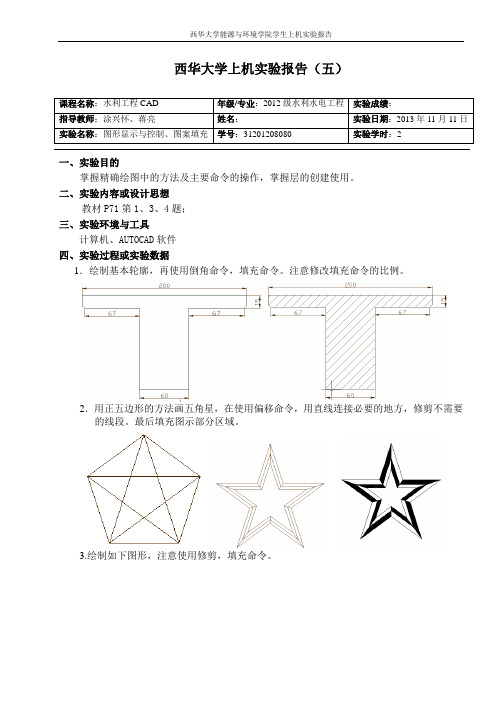 上机实验报告5