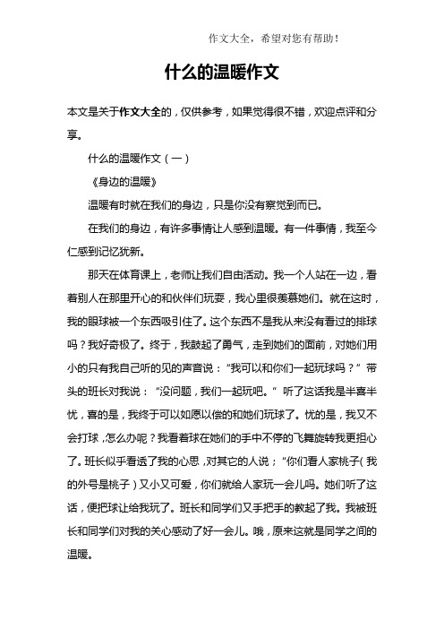 什么的温暖作文