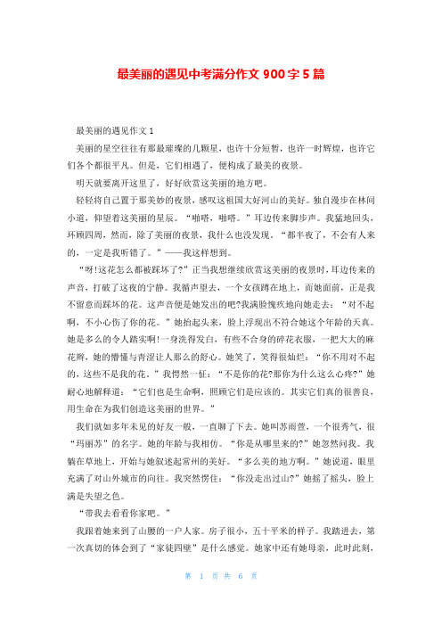 最美丽的遇见中考满分作文900字5篇