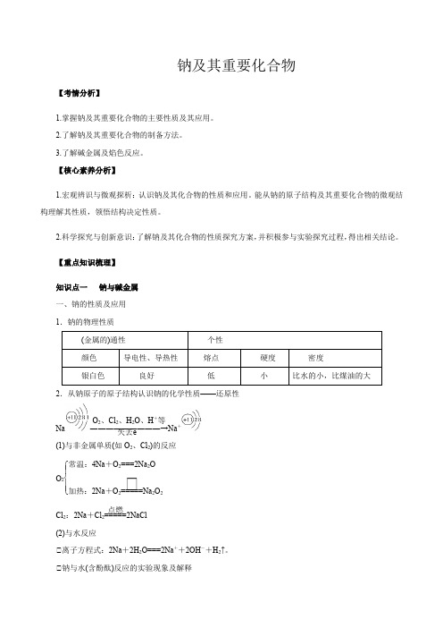 高考化学钠及其重要化合物(解析版)