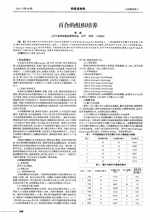 百合的组织培养