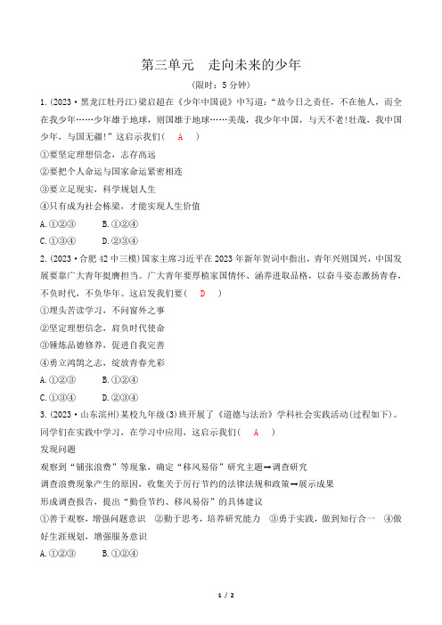 2024年中考道德与法治总复习第一部分教材知识梳理九年级下册第三单元走向未来的少年