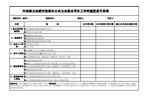 公共卫生村级月报表