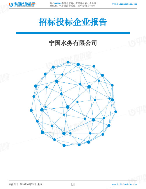 宁国水务有限公司-招投标数据分析报告