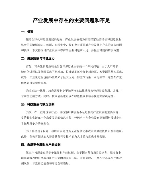 产业发展中存在的主要问题和不足